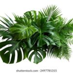 3d最近2000期开奖走势图最新全面分析 2vdy1