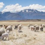 201彩票开奖查询最新结果与历史数据汇总 479u2