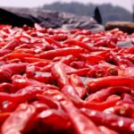 2019年羽毛球世锦赛全程高清直播精彩不容错过 71lt7amxvu