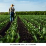 2017金杯赛全程高清直播精彩赛事不容错过 8ukrpx