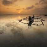 3D每日开奖号码实时更新与精准预测分析 g1hww