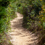 3D游戏第38期开奖号码结果正式公布 nrm2bro02