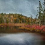 2019年度全球热门球赛直播时间表全览 up983i