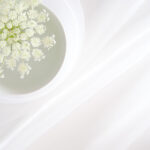 2019斯诺克大师赛全程高清直播精彩对决 xayp42bnv