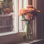 2019年NBA夏季联赛全程直播:新星崛起与未来巨星的对决盛宴 xpsde0415z